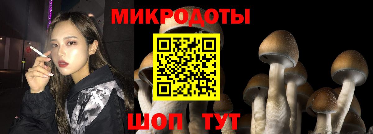 Псилоцибиновые грибы мухоморы  Галлюциногенные грибы ЛСД  купить закладку  Зерноград  Вход с VPN 